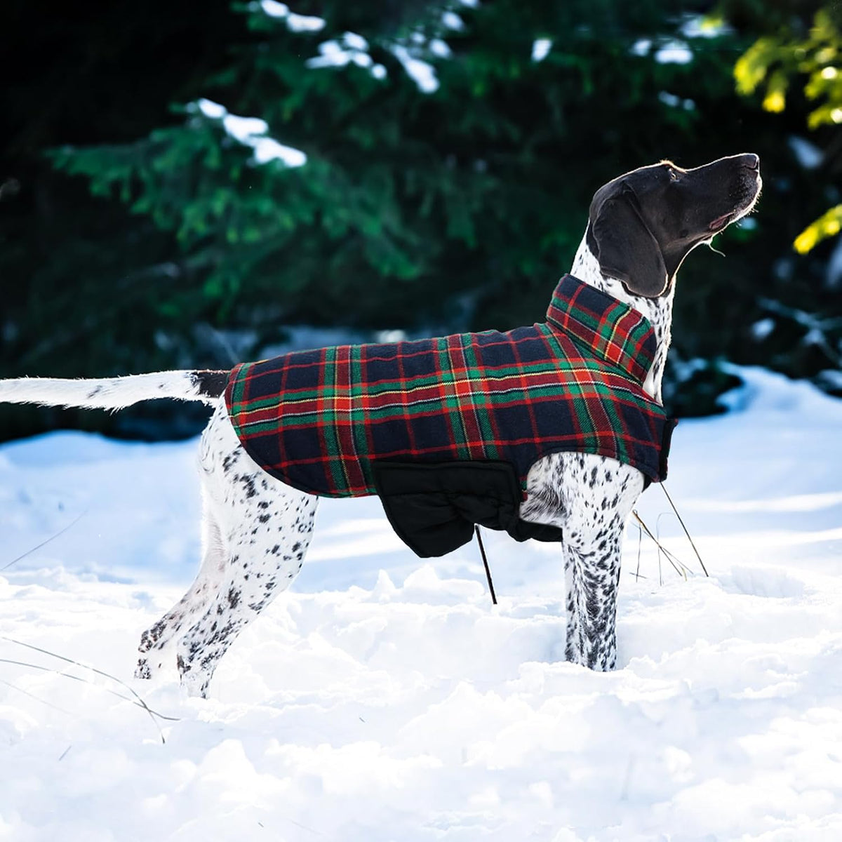 Kuoser Waterproof Dog Coat - Royal Blue / Small (Pack of 1) - image 2