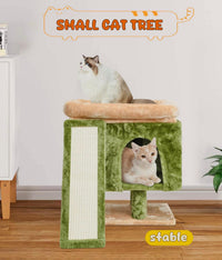SYANDLVY Gothic Cat Tree with Coffin Bed for Indoor Cats - Beige & Green - image 2