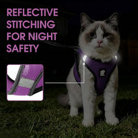 Cat Harness and Leash - Ultra Light Escape Proof Kitten Collar Cat Walking Jacket with Running - Purple / Medium - image 4