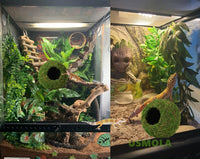 USMOLA Mossy Caves, Artificial Green Moss Caves Hide for Pet Reptile Frogs and Snakes, Terrarium - 4" - Woodland Green - image 3