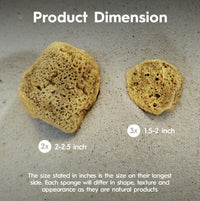 Naroa pack of 5 natural unbleached hermit crab sea sponges - view 3