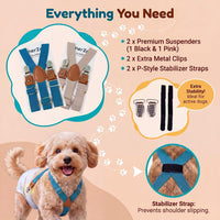 2 Pieces Dog Diaper Suspenders - Blue&Beige / Small/Medium - image 2