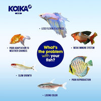 KOIKA BACM Natural Color Enhancement for Fish, Combination of Probiotic & Multi-Vitamins for Aquarium A, B6, B2, Pleasant Smell (BACM (New Formula), 30ml)