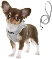 Fida Cat Harness and Leash Set for Walking Kitten and Puppy - S (Neck:12.6"-13.8"; Girth:16.1"-17.7") / Light Gray