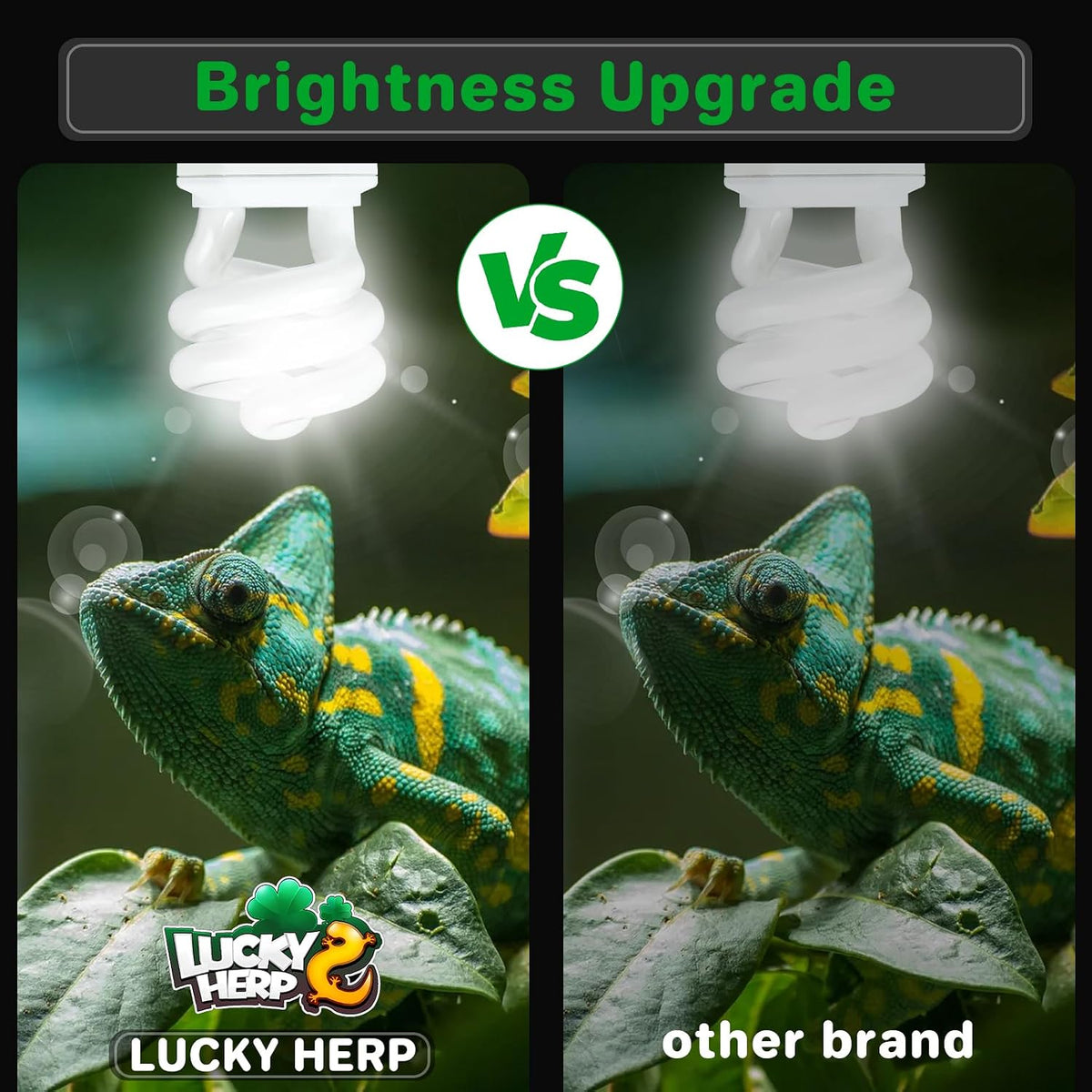 LUCKY HERP UVA UVB Reptile Light 10.0 - UVB5.0 15W - image 3
