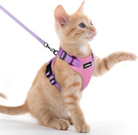 rabbitgoo Cat Harness and Leash Set, Escape Proof Vest - Xxs / Pink & Light Purple