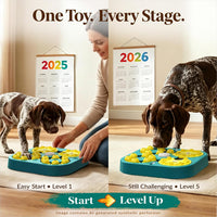 KADTC XL 5-Levels Dog Puzzle Toy - image 4