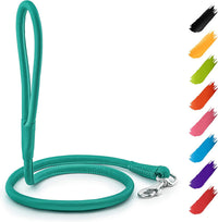 WAUDOG Rolled Leather Dog Leash 4Ft * 0.3 in for Small Medium - Mint / 4Ft * 0.4 in