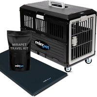Collapsible Pet Carrier for Large Dogs & Cats - Small - Gray / with travel kit