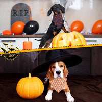Halloween Dog Bandanas 2 Pack Reversible Triangle Scarf – Essentials for Dogs - Halloween - image 4
