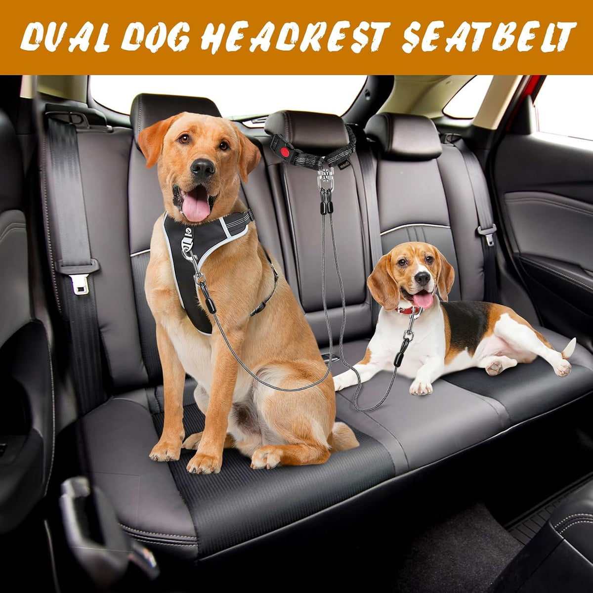 Chew Proof Dog Car Seat Belt - Black(Dual Dog) / 1 Pack - image 3