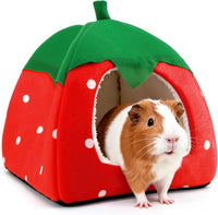 Guinea Pig Hideout Bed, Dwarf Rabbit House Cave – Daily Care for Small Pets - Red