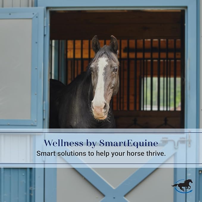 SmartEquine Slow Feed Hay Bag for Horses | Hay Feeder Net with Resistant Nylon | Gator Mouth Enclosure for Easy Loading | Fits 10-15 lbs of Hay | 4 Flakes Bag | 37" x 30" | Navy Blue | 2" Holes
