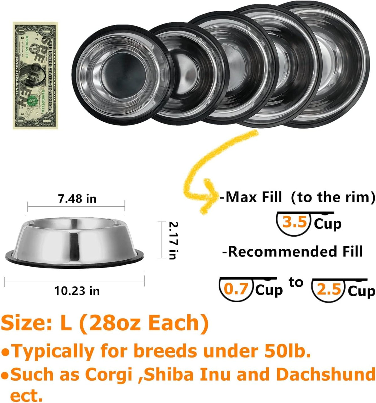 2 Pack Stainless Steel Dog Bowls with Rubber Bottom - 3.5 Cup / 28 oz - image 2