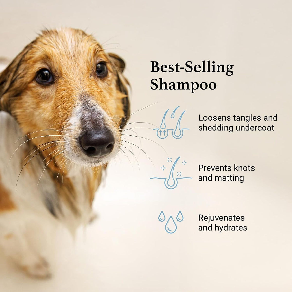 iGroom Deshedding & Detangling Dog Shampoo - 16 OZ - image 3