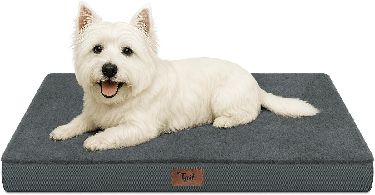 Outdoor Waterproof Orthopedic Dog Bed for Large Dogs – Essentials for Dogs - Dark Gray / 23.0"L x 17.0"W x 2.5"Th