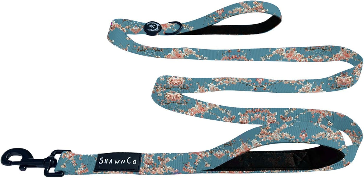 ShawnCo Dream Walk Dog Leash – Essentials for Dogs - M/L 6FT w/ 2 Handles / Freckle's Garden