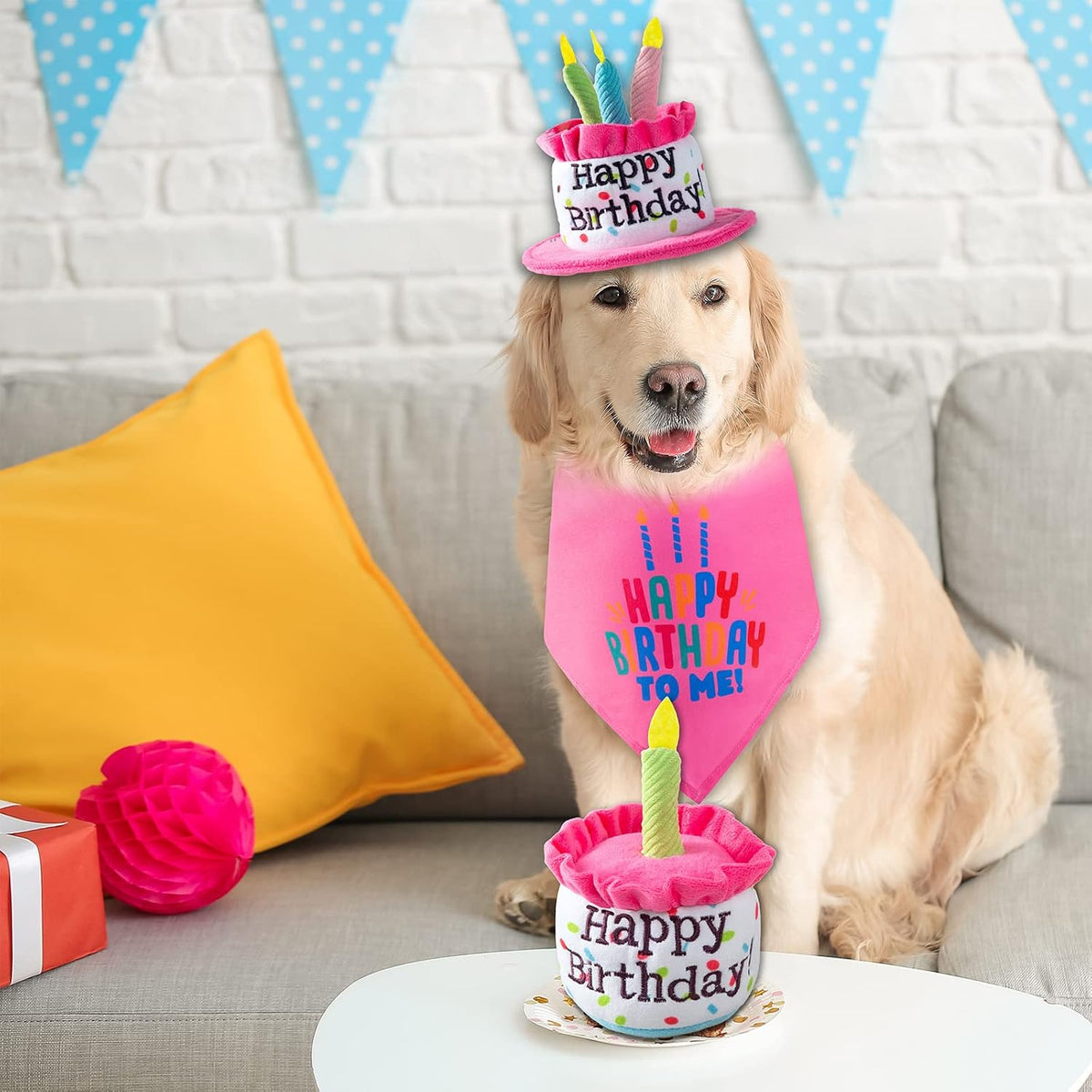 Large Dog Birthday Cake Hat & Bandana Set - Pink Hat & Bandana - image 3