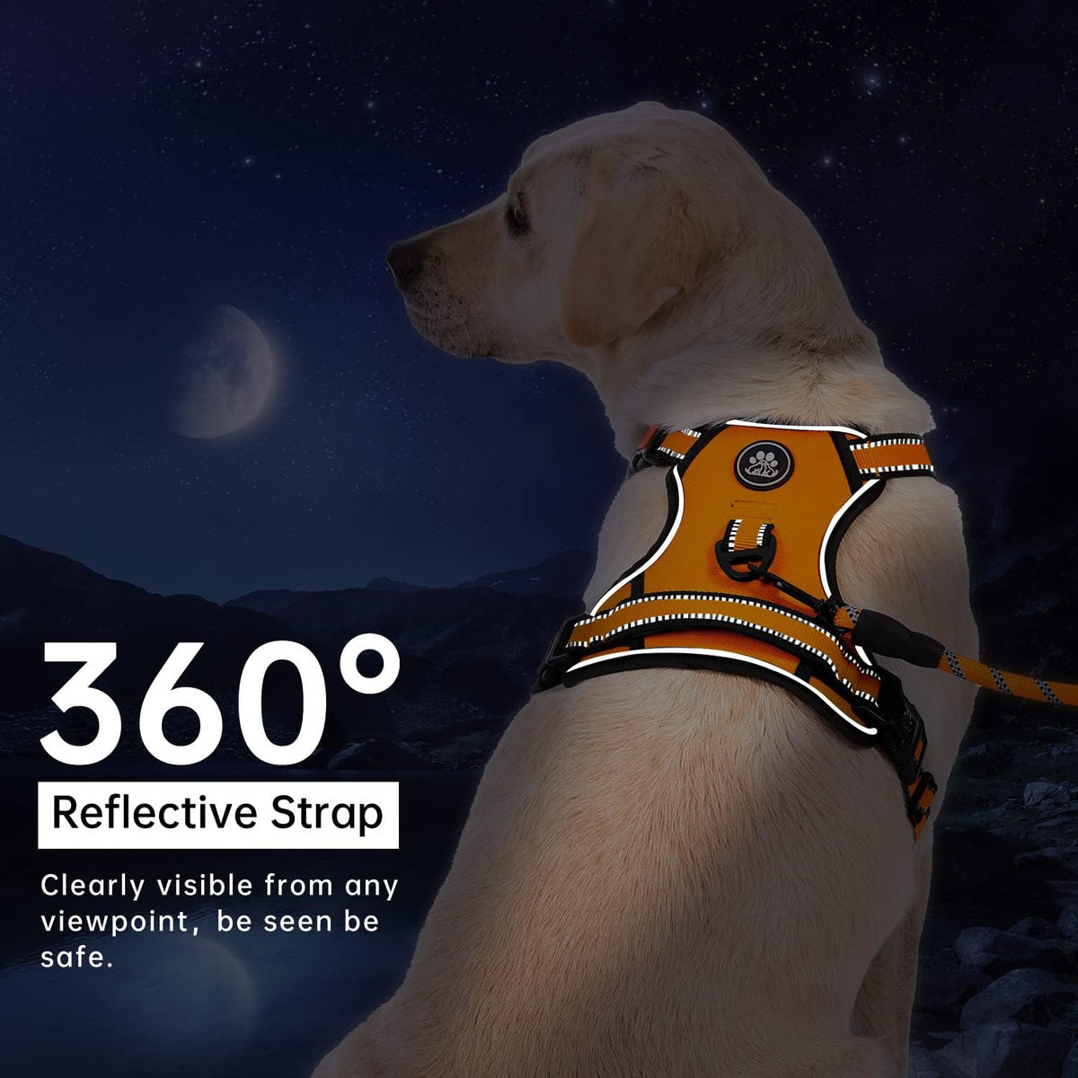 IVY&LANE No Pull Dog Harness for Medium Dogs - Orange / Medium - image 4