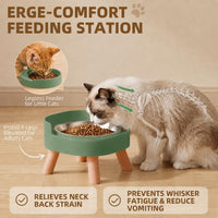 Elevated Cat Bowls, 2P Raised Cat Food and Water Bowl Set for Indoor Cats, Splash Proof with 2 - 2P Cat Bowls - Green - image 4