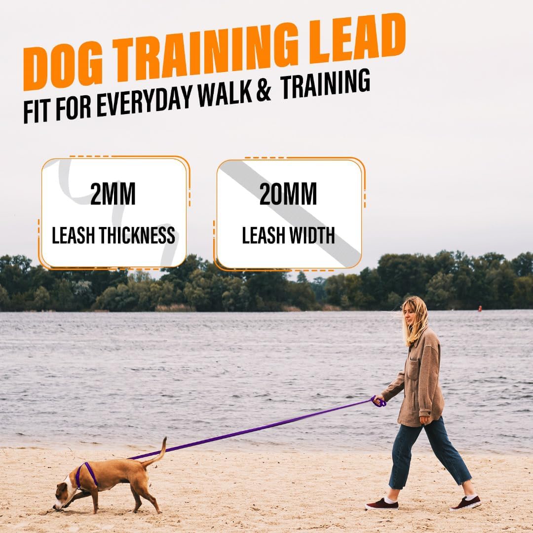 Long Line Dog Training Leash with Padded Handle - 30ft / Purple - image 4