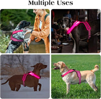 Light Up Dog Harness, Rechargeable LED Dog Harness with Battery Level Indicator, Adjustable Reflective Safety Vest for Night Walking, Soft Mesh Lighted Harness for Medium Large Dogs(5-90lbs)
