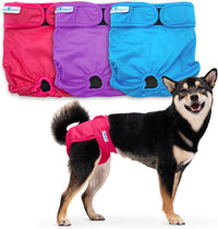 Paw Inspired Washable Dog Diapers, Assorted and White Lining - Assorted (Black Lining) / Medium (3 ct.)