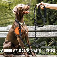 COOYOO 2 Pack Dog Leash 5 FT Heavy Duty - 1/2"x 6 FT (18~120 lbs.) / Set 7-Black+Orange - image 2