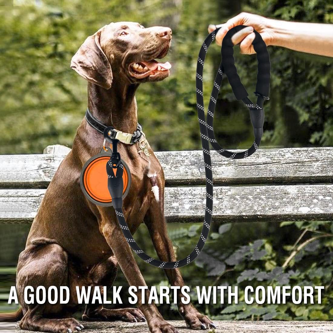 COOYOO 2 Pack Dog Leash 5 FT Heavy Duty - 1/2"x 6 FT (18~120 lbs.) / Set 7-Black+Orange - image 2