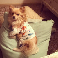 CuteBone Dog Halloween Pajamas Puppy Onesies Small Dogs Soft Pjs Coat - XX-Large / White Dino - image 2