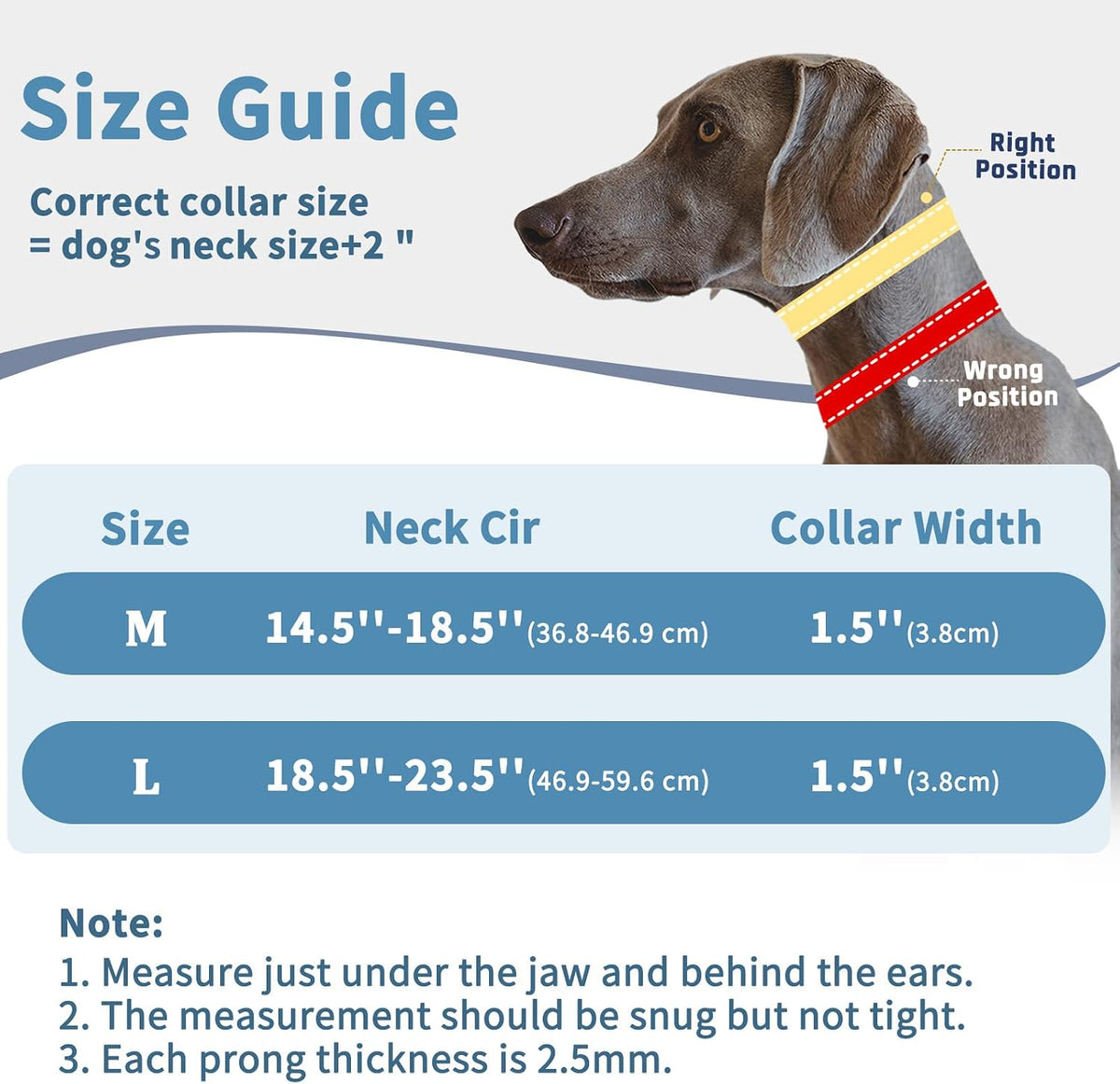 Martingale Dog Training Walking Collar for Pulling, M - Black / Large,2.5mm,18.5-23.5"Neck - image 4