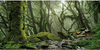 36x20 in Terrarium Backdrop Foggy Forest Stream Reptile Habitat - 24x12in/60x30cm