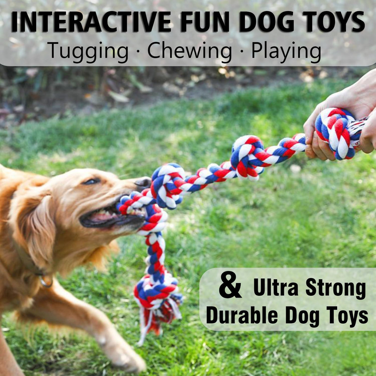 XIGOU Dog Rope Toys for Large Dogs Aggressive Chewers - Blue & Red / 5 Knots - image 3