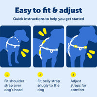 PetSafe Easy Walk Harness, No Pull Dog Harness, Royal Blue - Charcoal/Black / Medium / 1 - image 2