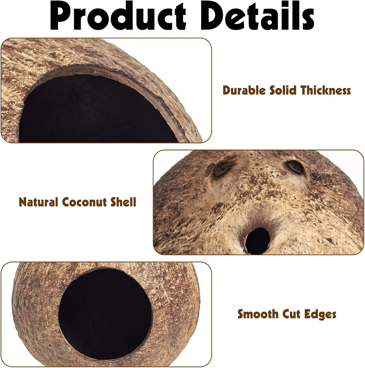 PINVNBY 2 PCS Natural Coconut Reptile Hideouts Lizard Coco Hut Hermit - Smooth Surface / High-Crowned Style, 2PCS - image 3