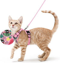 rabbitgoo Cat Harness and Leash Set, Escape Proof Vest - S / Melon Munch