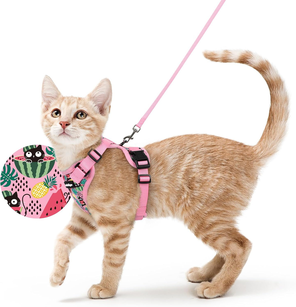 rabbitgoo Cat Harness and Leash Set, Escape Proof Vest - S / Melon Munch