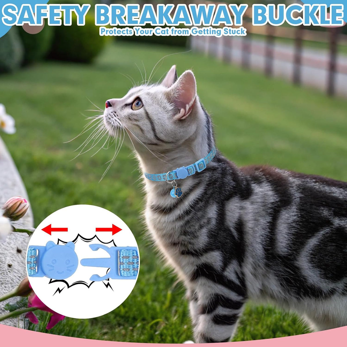 BINGPET Halloween Cat Collar Breakaway - Reflective (Blue) - image 3