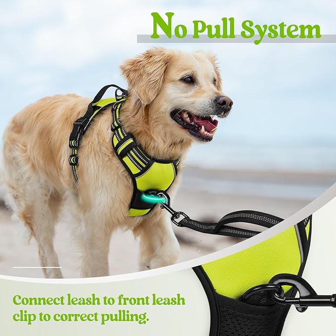 rabbitgoo Dog Harness No Pull with 2 Leash Clips, Adjustable Soft Padded, Reflective Oxford No Choke Pet Vest with Easy Control Handle for Large Dogs, Green, XL