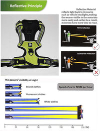 TRUE LOVE Adjustable No-Pull Dog Harness Reflective Pup Vest Harnesses Comfortable Control Brilliant Colors Truelove TLH5651(Brown,L)