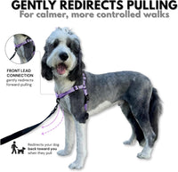 ShawnCo Dream Walk Pro No-Pull Dog Harness – Essentials for Dogs - Small / Icy Lilac - image 2