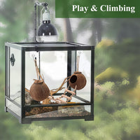 HERCOCCI Gecko Tank Accessories - Double - image 3