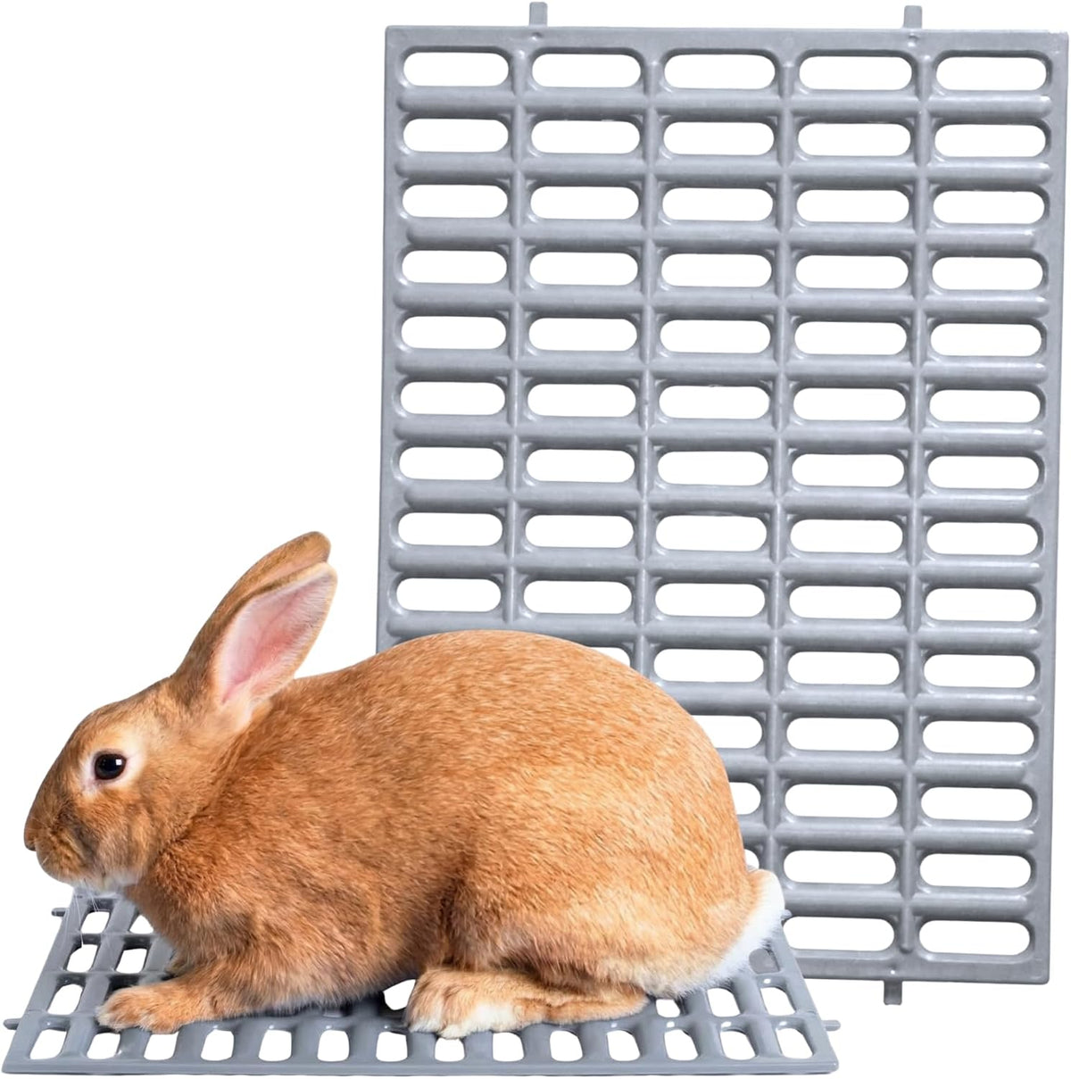 Premium Plastic Rabbit Cage Mats, 15x10 Mat - 15"L x 10"W / Gray