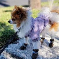 Soft Dog Hoodies for Small Dogs - Purple / XX-Small - image 3