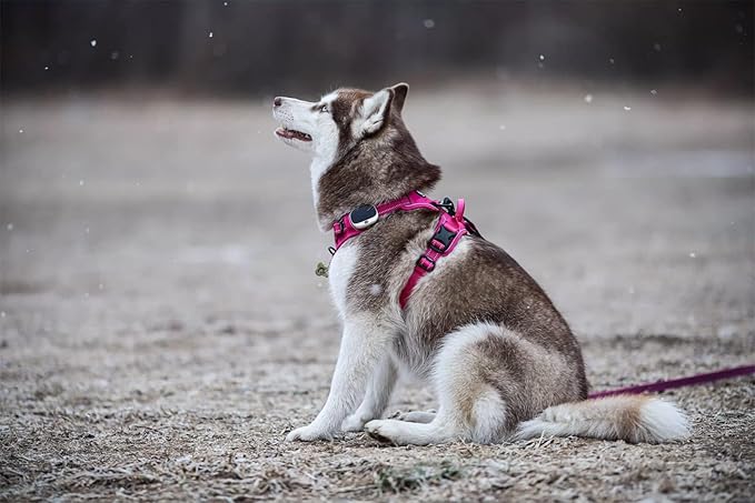 TRUE LOVE Truelove Adjustable No-Pull Dog Harness Reflective Pup Vest Harnesses Comfortable Control Brilliant Colors TLH5651(Fushcia,XS)