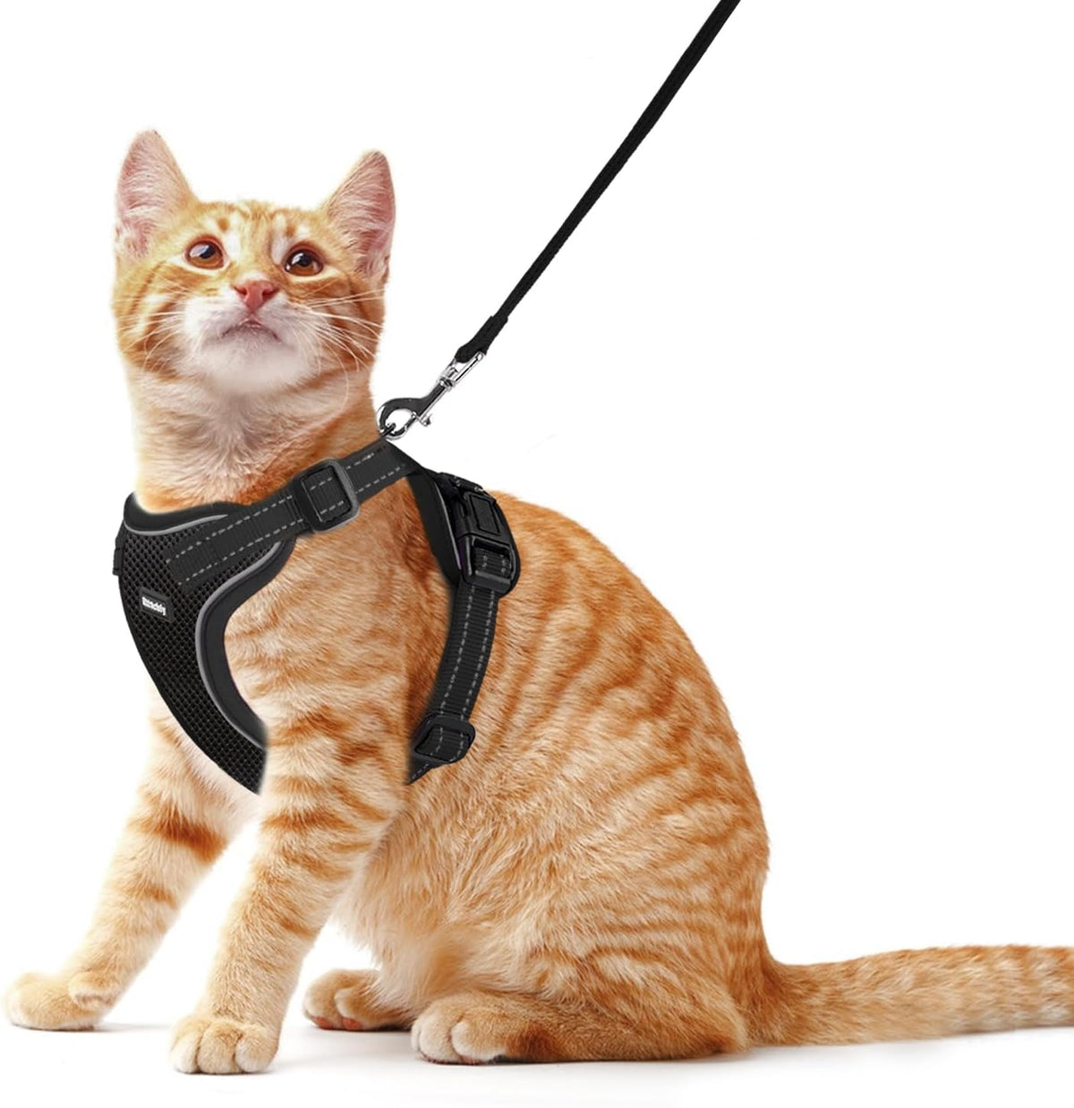Cat Harness and Leash Set - Black / M