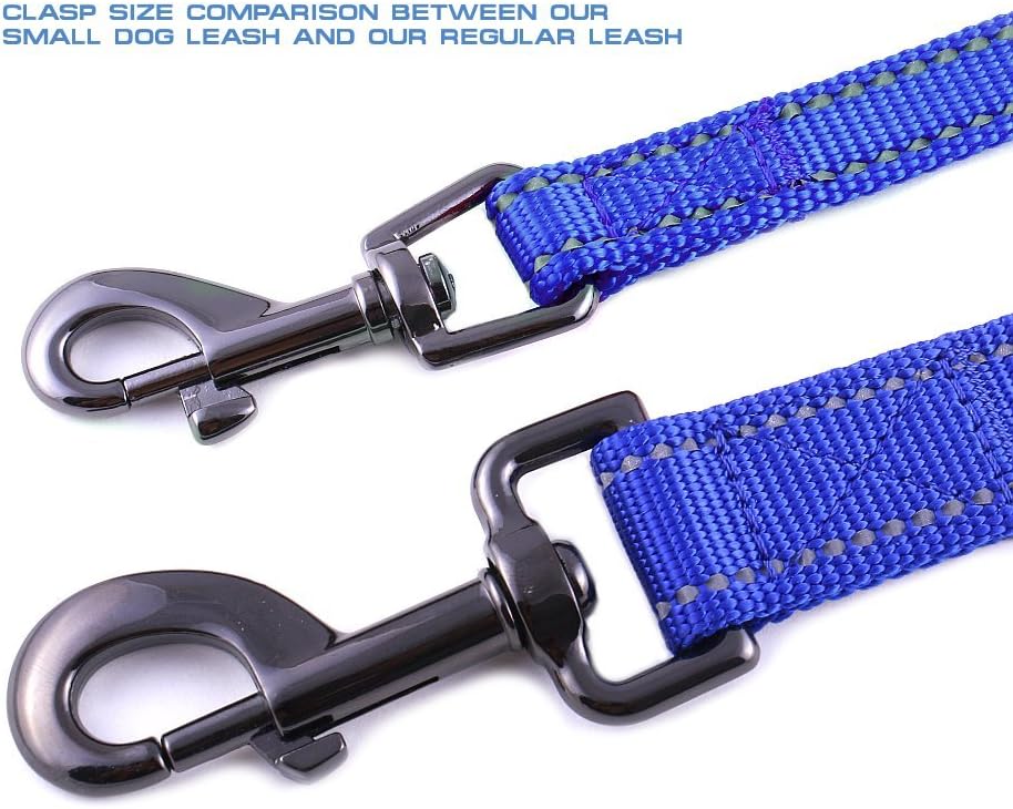 Max and Neo Reflective Nylon Dog Leash - 6 FT x 5/8" Wide / BLUE - image 2