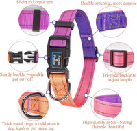Roses&Poetry Reflective Dog Collar with Gradient Mistyrose - Medium / Mistyrose - image 2