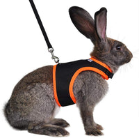 Niteangel Adjustable Soft Harness with Elastic Leash for Rabbits – Essentials for Small Pets - L / Black