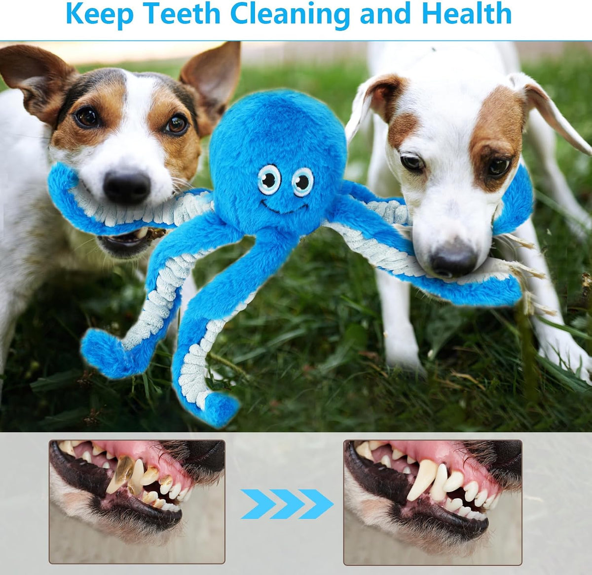 5 Pack No Stuffing Squeaky Dog Toys for Large Dogs - Blue / Octopus - image 3
